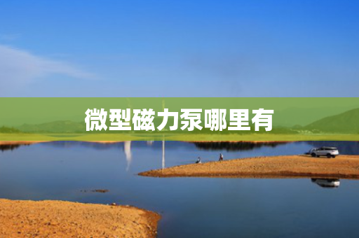 微型磁力泵哪里有