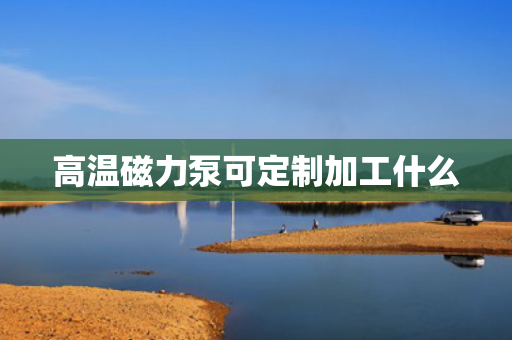 高温磁力泵可定制加工什么