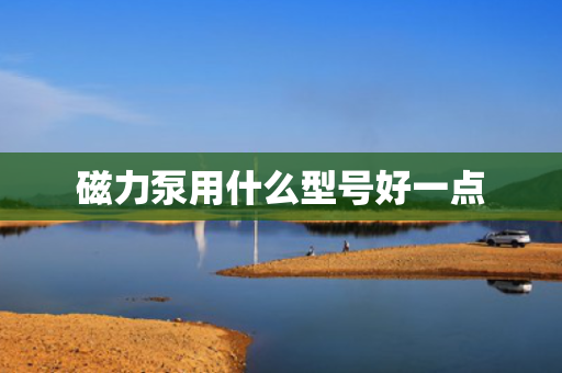 磁力泵用什么型号好一点