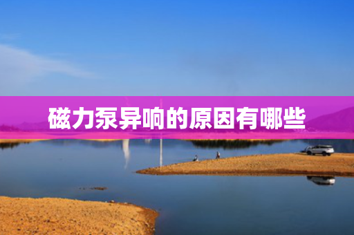 磁力泵异响的原因有哪些