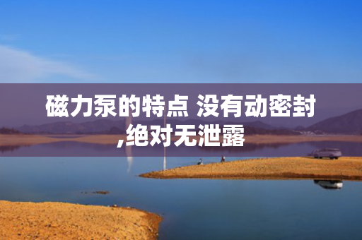 磁力泵的特点 没有动密封,绝对无泄露