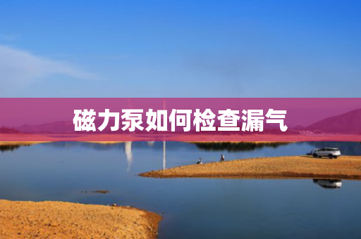 磁力泵如何检查漏气