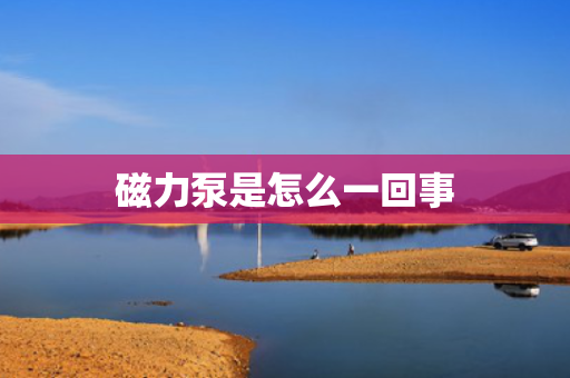磁力泵是怎么一回事