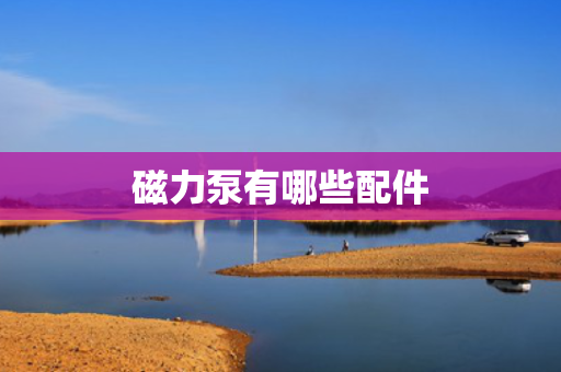 磁力泵有哪些配件