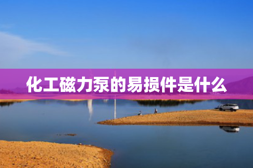 化工磁力泵的易损件是什么