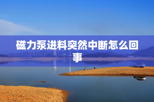 磁力泵进料突然中断怎么回事