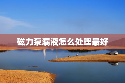 磁力泵漏液怎么处理最好