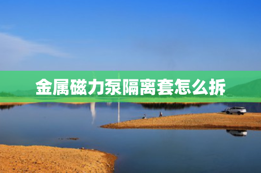 金属磁力泵隔离套怎么拆