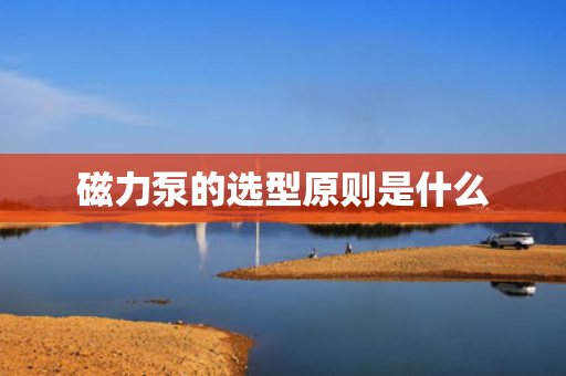 磁力泵的选型原则是什么