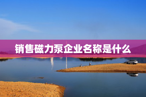 销售磁力泵企业名称是什么