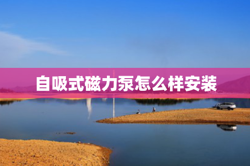 自吸式磁力泵怎么样安装