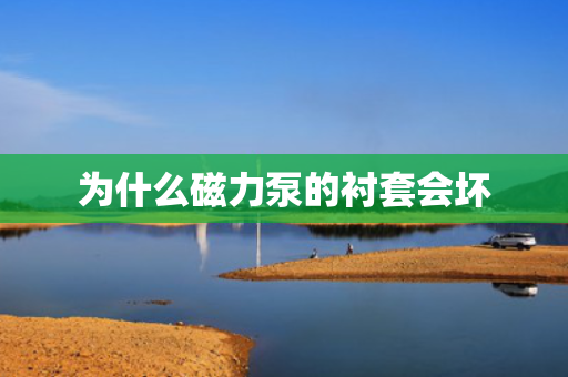 为什么磁力泵的衬套会坏
