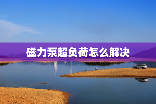 磁力泵超负荷怎么解决