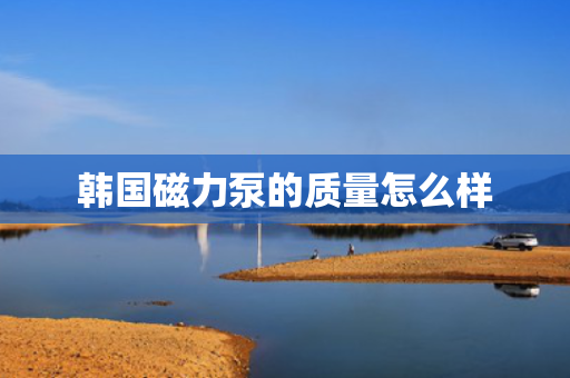 韩国磁力泵的质量怎么样