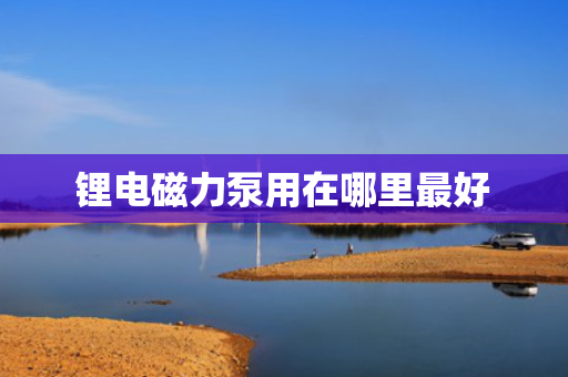 锂电磁力泵用在哪里最好