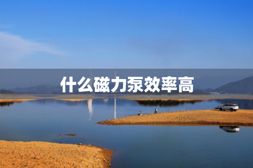什么磁力泵效率高