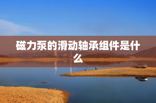磁力泵的滑动轴承组件是什么