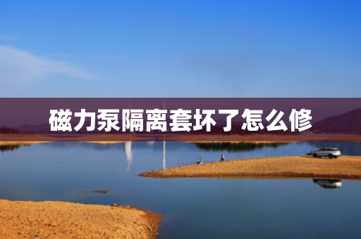 磁力泵隔离套坏了怎么修