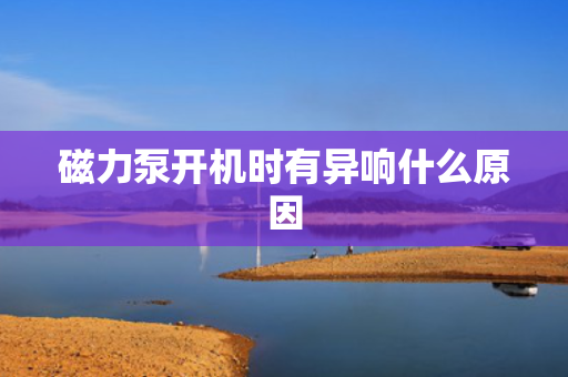 磁力泵开机时有异响什么原因