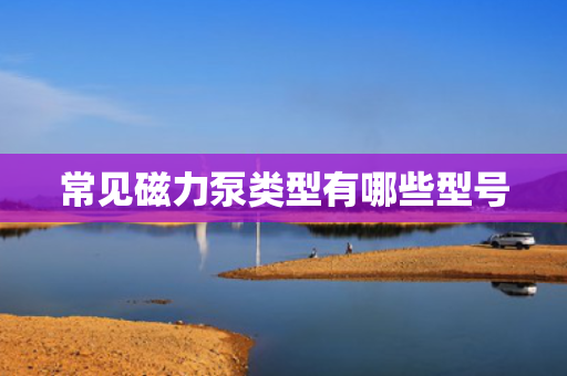 常见磁力泵类型有哪些型号