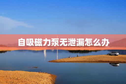 自吸磁力泵无泄漏怎么办