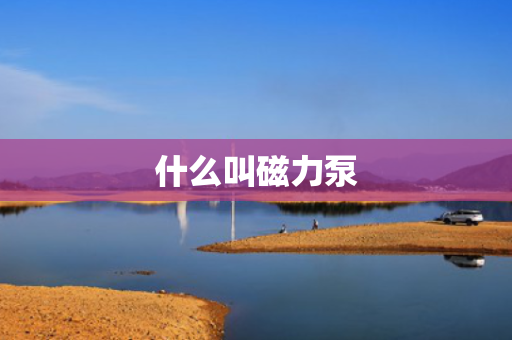 什么叫磁力泵