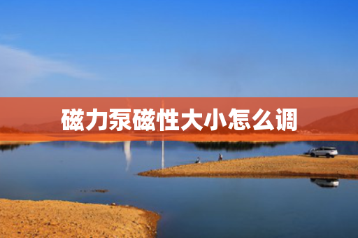 磁力泵磁性大小怎么调