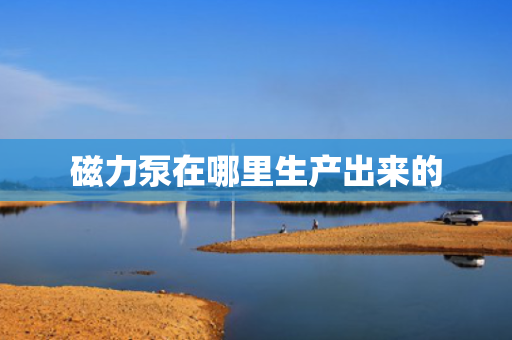 磁力泵在哪里生产出来的