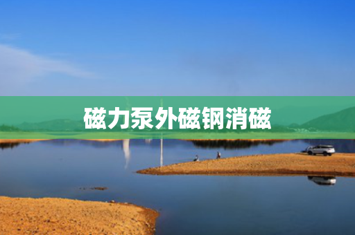 磁力泵外磁钢消磁