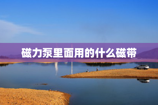 磁力泵里面用的什么磁带