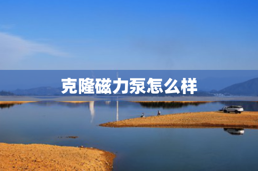 克隆磁力泵怎么样