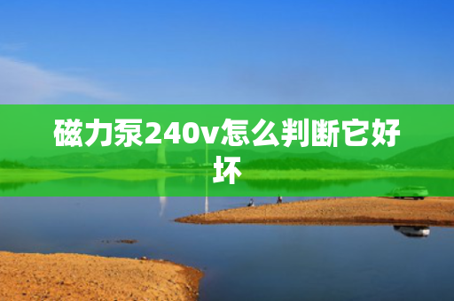 磁力泵240v怎么判断它好坏
