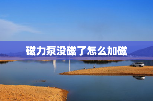 磁力泵没磁了怎么加磁