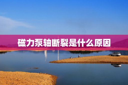 磁力泵轴断裂是什么原因