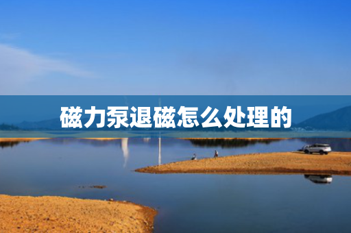 磁力泵退磁怎么处理的