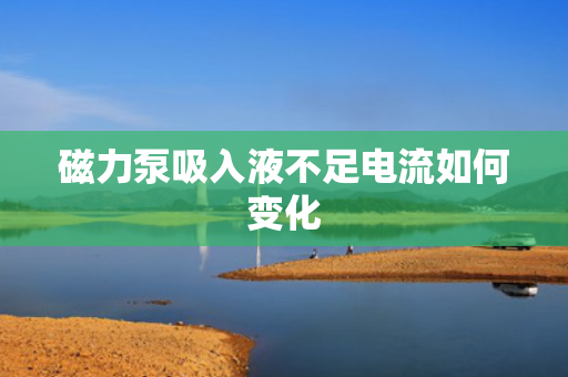 磁力泵吸入液不足电流如何变化