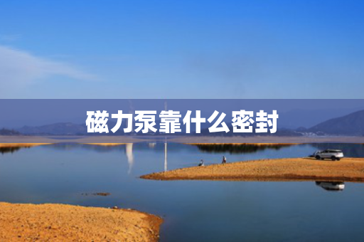 磁力泵靠什么密封