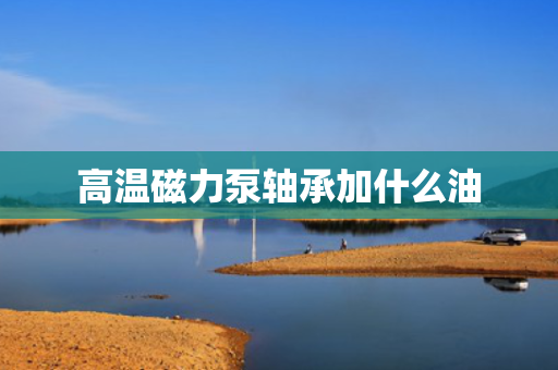 高温磁力泵轴承加什么油