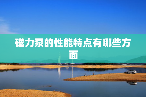 磁力泵的性能特点有哪些方面