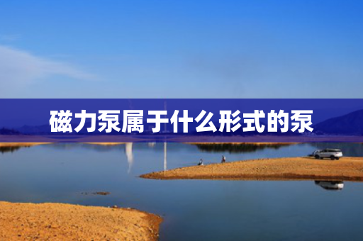磁力泵属于什么形式的泵