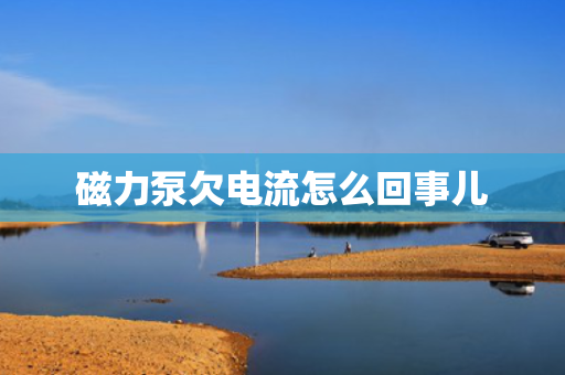 磁力泵欠电流怎么回事儿