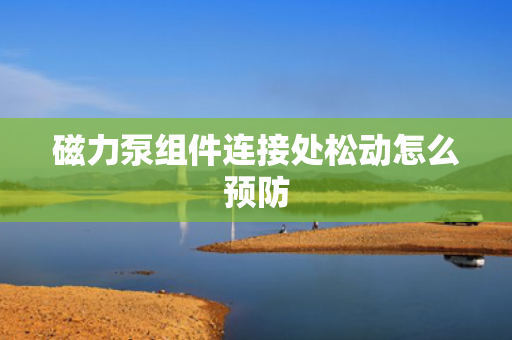 磁力泵组件连接处松动怎么预防