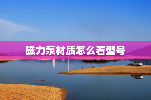 磁力泵材质怎么看型号