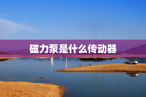 磁力泵是什么传动器