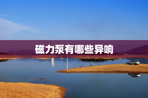 磁力泵有哪些异响