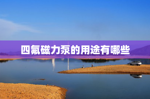 四氟磁力泵的用途有哪些