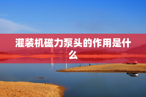 灌装机磁力泵头的作用是什么