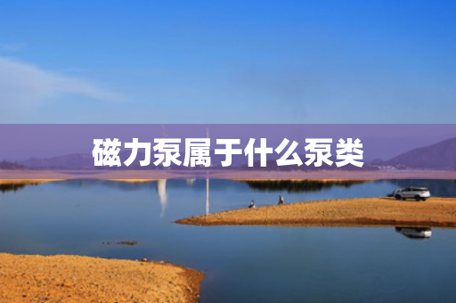 磁力泵属于什么泵类