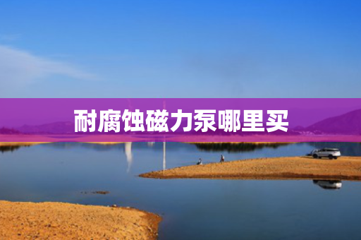 耐腐蚀磁力泵哪里买