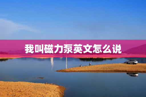 我叫磁力泵英文怎么说